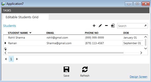 Date and Time Format Pattern in LightSwitch 2012