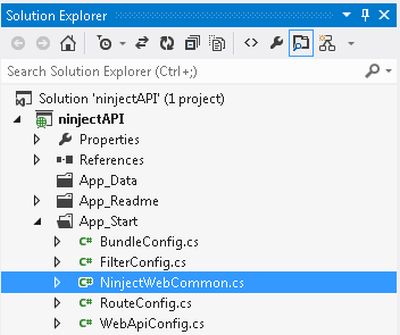 Display NinjectWebCommon class