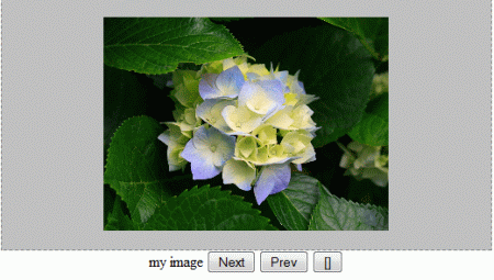 my image2.gif