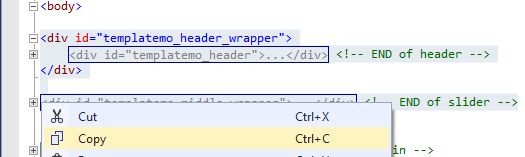 How To Create ASP.Net WebSite With CSS Template