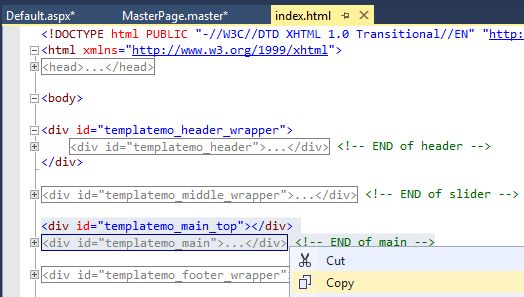 How To Create ASP.Net WebSite With CSS Template