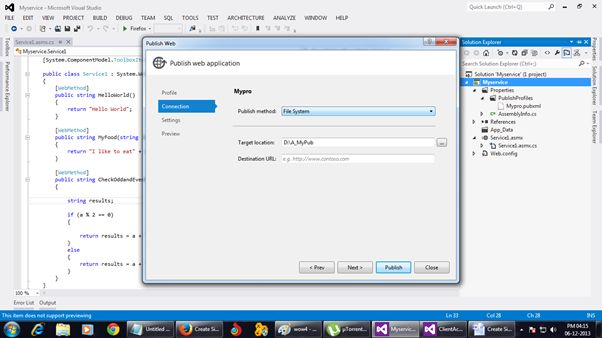 Publish Web Service Connection