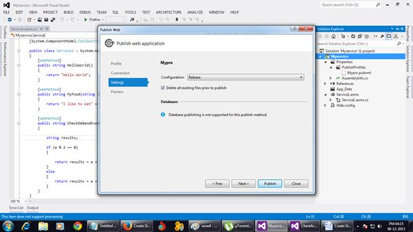 Publish Web Service Setting