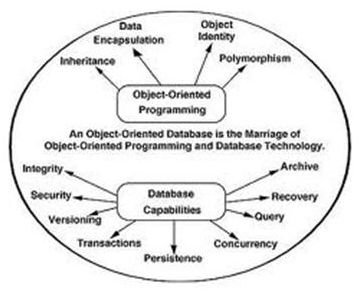 Types Of Database Management Systems