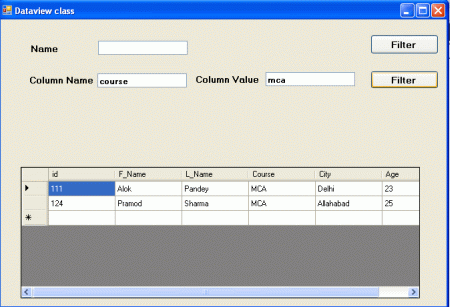 working with dataview in .net