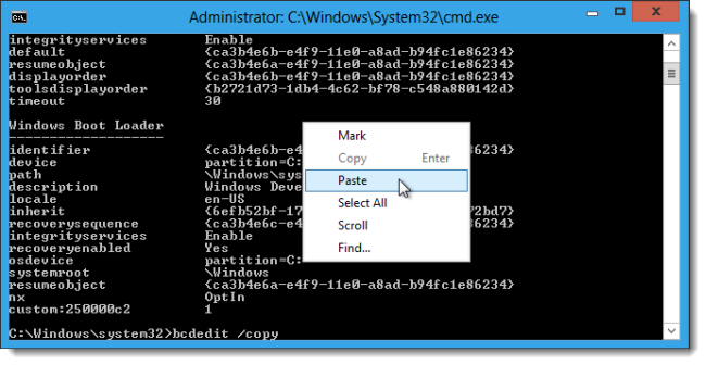 pasting-id-in-windows8-command-prompt.png