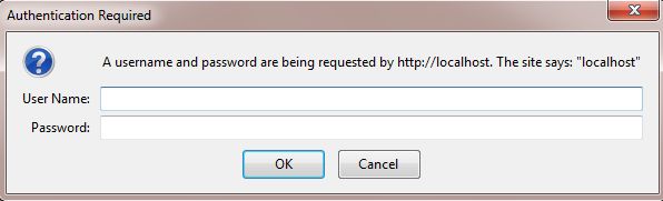 IIS Basic Authentication
