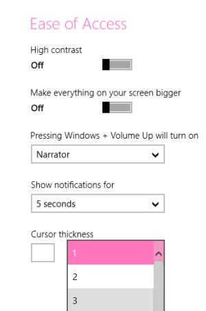 ease-of-access-properties-in-windows8.jpg