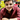 Prakshal Shah