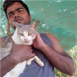 Santosh Gadge