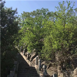 Feng Huei