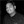 Author Profile Photo