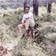 Photo of Ankush Chauhan
