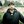 Author Profile Photo