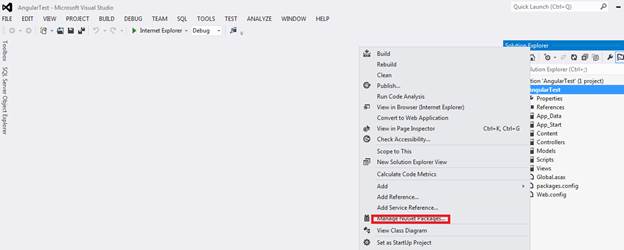 Manage Nuget package
