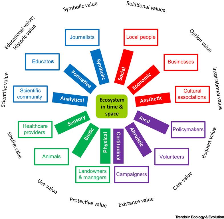 Data mining applications in healthcare