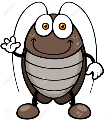cockroach