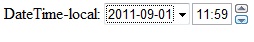 html5_8DateTimelocal.jpg