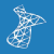 SQL Server