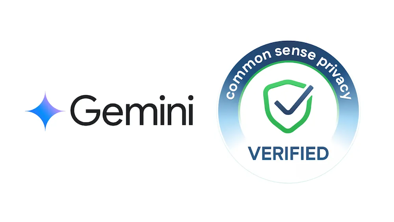Gemini Common Sense Verification