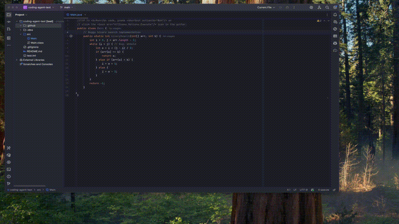 customagentsjetbrains