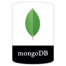 MongoDB 