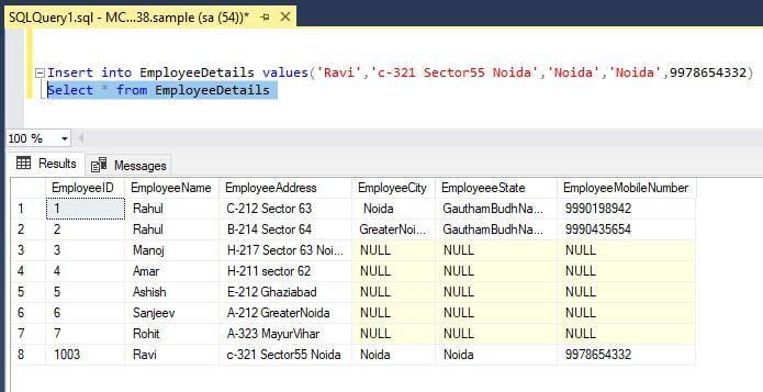 SQL INSERT Statement in a bit more detail