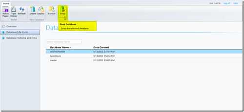 Database ribbon button 