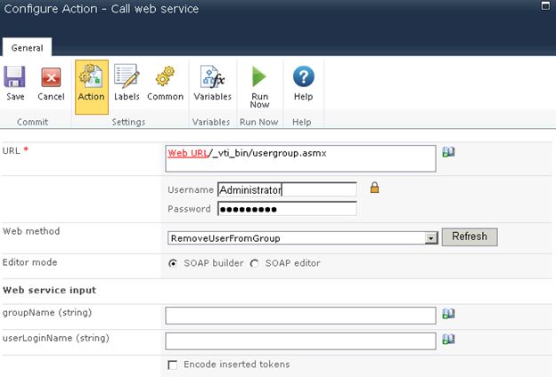 Web Service Input section
