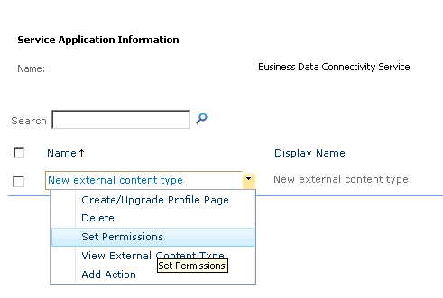 server application in sharepoint 2010