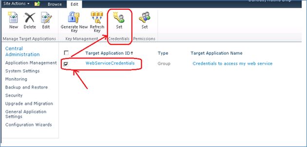 WebServiceCredentials