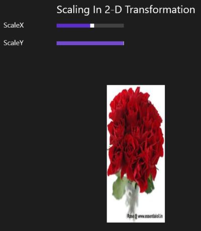 Scaling-In-2-D-Transformation-Using-Y-axis-In-Windows-8-apps.jpg