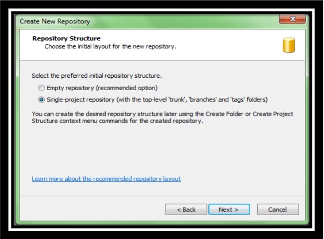 Repository structure in SVN