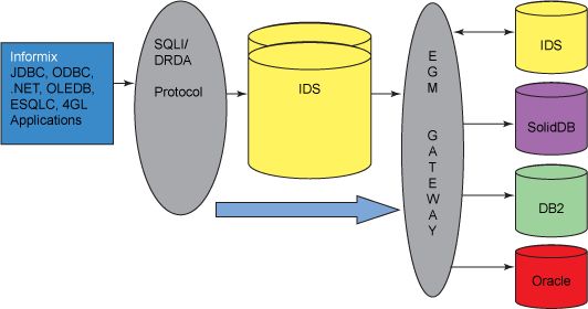 Distributed Database Management Systems