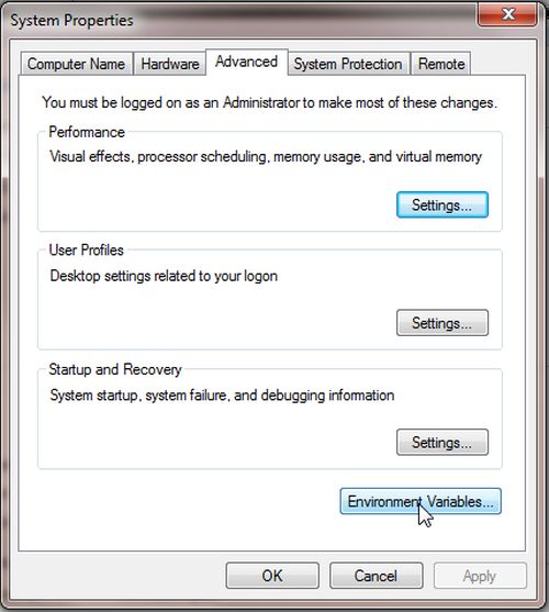 environmental variable3