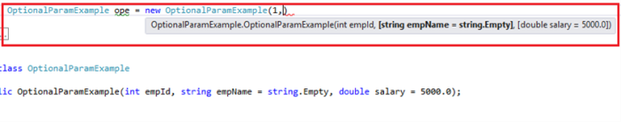 Optional parameter in Constructor