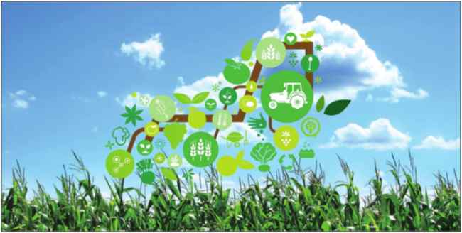 IoT in Agriculture