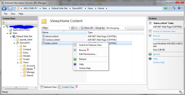 Hosting ASP.NET MVC Web Application On Local Machine