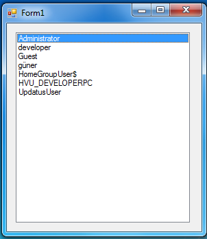 Getting All Users In A Computer