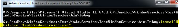 TestWindowService