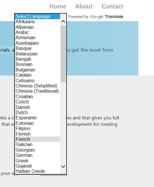 Translation Language Dropdown