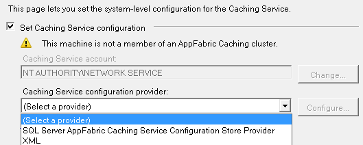 Caching service provider Cache Service