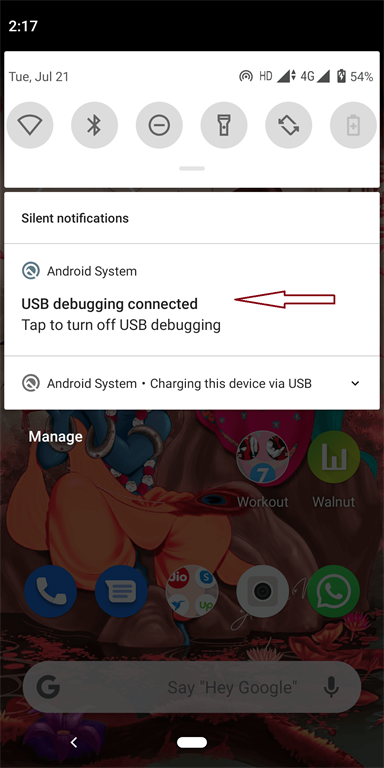 Creating A New Flutter Project And Setup Physical Device And Emulator