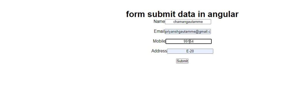 Add Data To The Server Using The Web API In Angular Using Node.js And VS Code