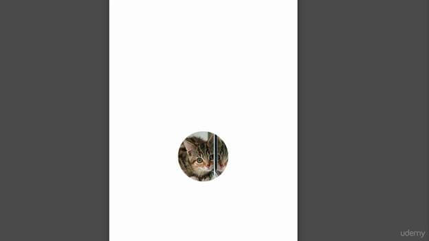 Adding Circle Image To Your Application