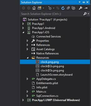Adding Platform Specific Images And Icons In Application