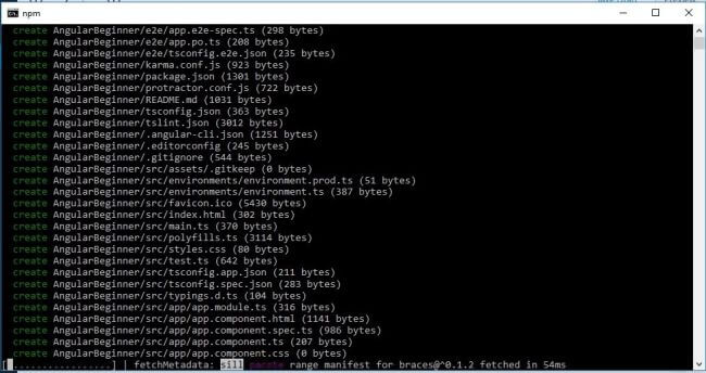 Angular For Beginners