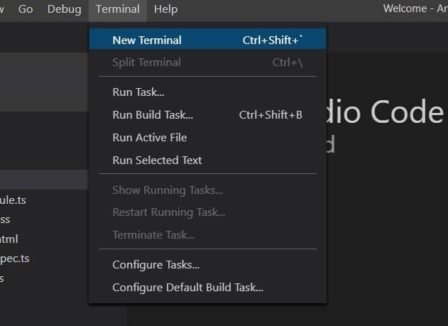 Angular For Beginners