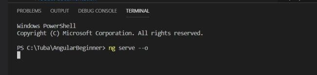 Angular For Beginners