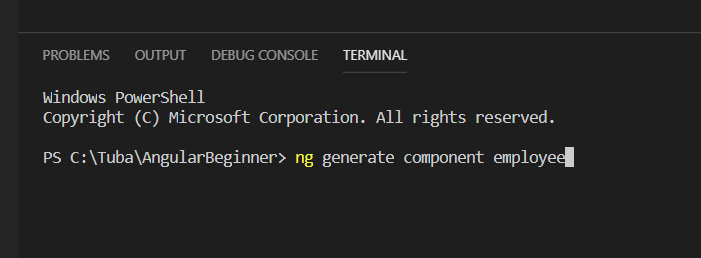 Angular For Beginners - Modules, Components And Directives